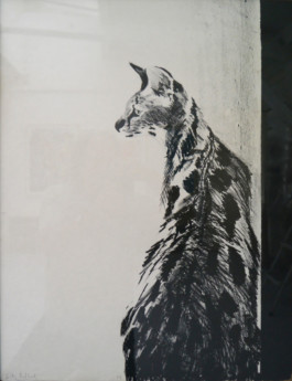 Atelier Michael Woolworth